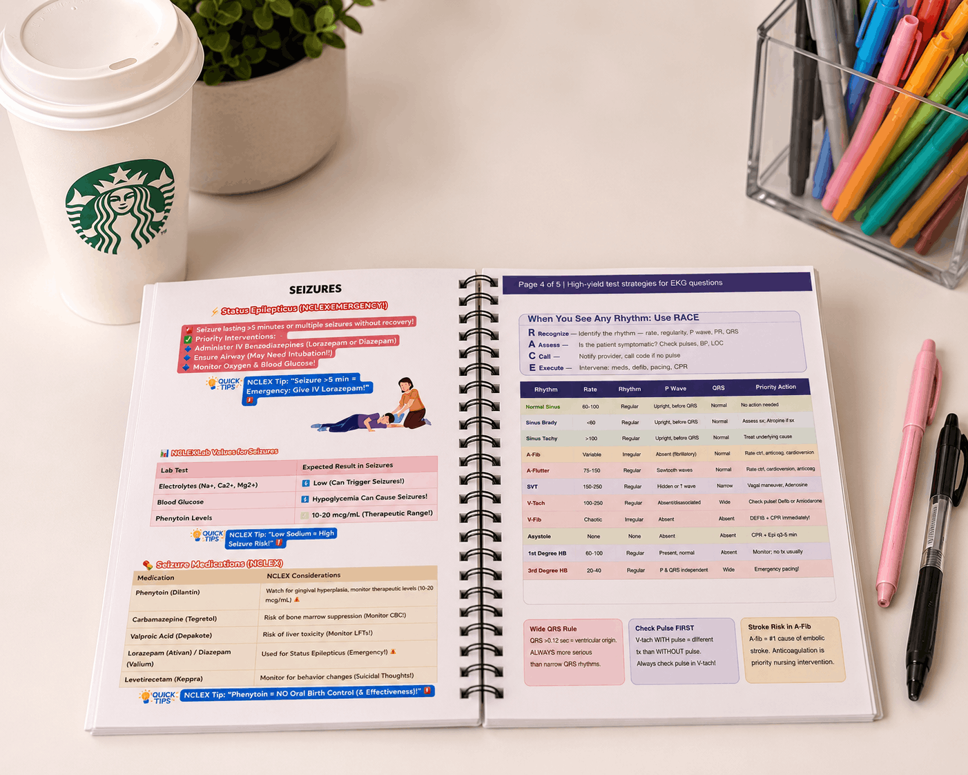 Study Guide 4