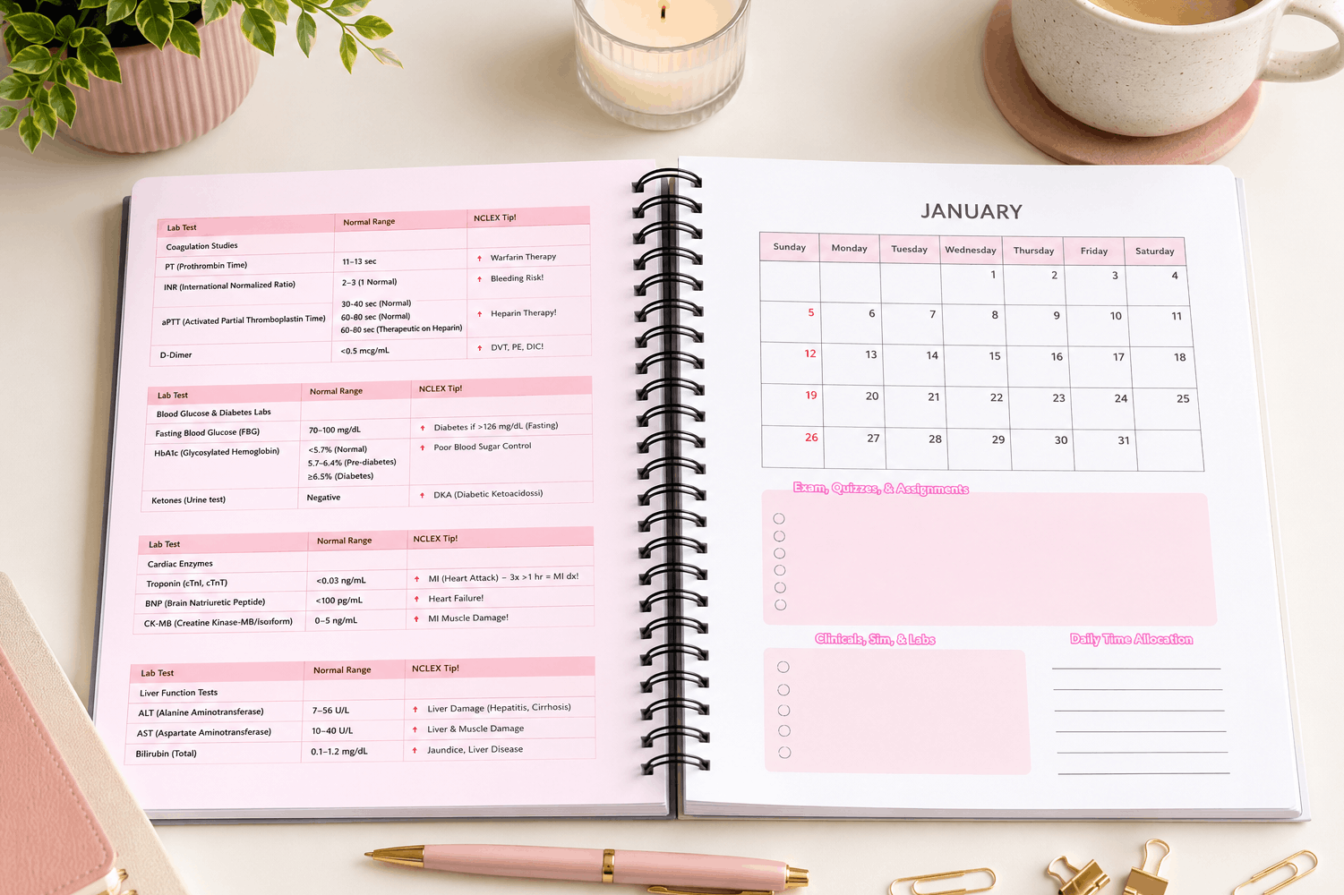 Digital Study Planner 4